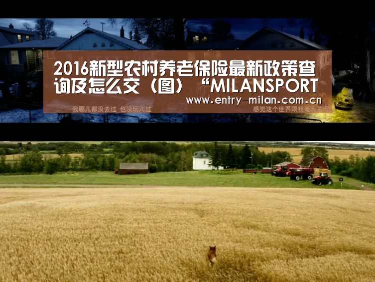 2016新型农村养老保险最新政策查询及怎么交(图)“MILANSPORT下载”(图3) MILANSPORT入口