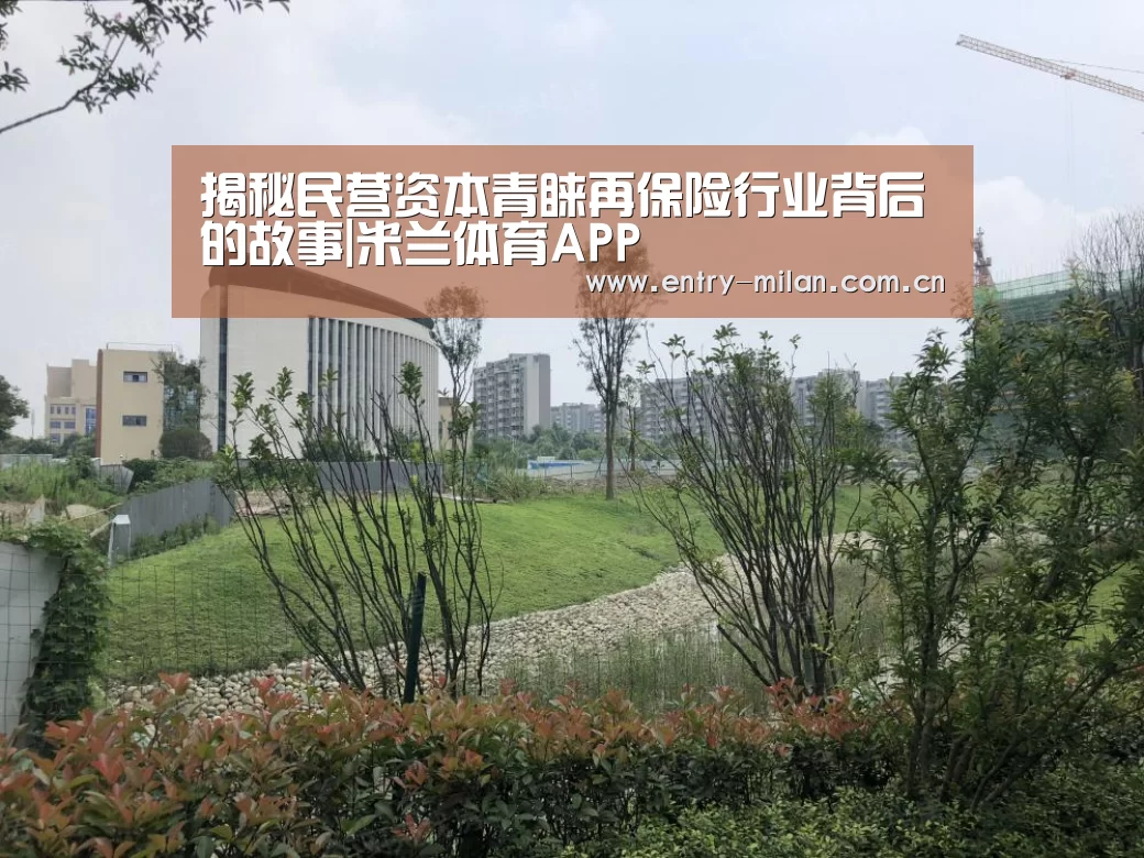 米兰体育全站