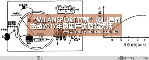 米兰体育APP