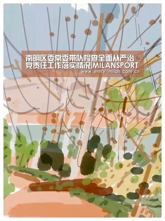 南明区委常委带队检查全面从严治党责任工作落实情况|MILANSPORT入口(图1) 米兰体育全站