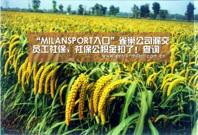 “MILANSPORT入口”雀巢公司漏交员工社保,社保公积金扣了!查询时却发现1998年却有一个月没交,员工:我该怎么办?(图3) MILANSPORT入口