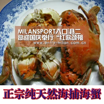 MILANSPORT入口|县二高迎国庆举行“红歌颂祖国”师生同唱活动(图4) MILANSPORT入口