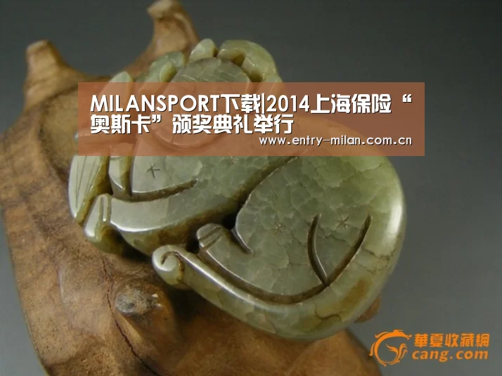 MILANSPORT下载|2014上海保险“奥斯卡”颁奖典礼举行(图2) 米兰体育APP