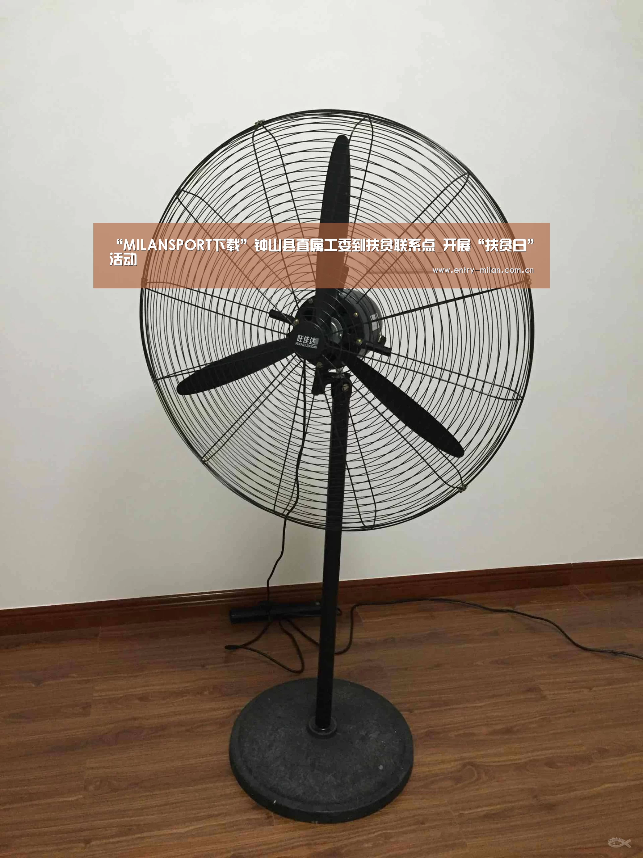 “MILANSPORT下载”钟山县直属工委到扶贫联系点 开展“扶贫日”活动(图1) MILANSPORT下载