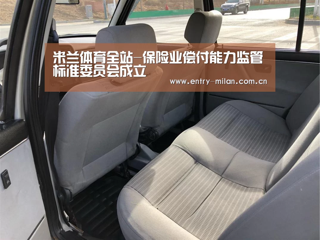 米兰体育全站-保险业偿付能力监管标准委员会成立(图2) 米兰体育全站