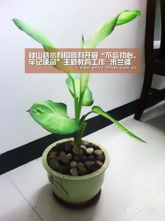 钟山县水利局顺利开展“不忘初心、牢记使命”主题教育工作-米兰体育全站(图1) MILANSPORT入口
