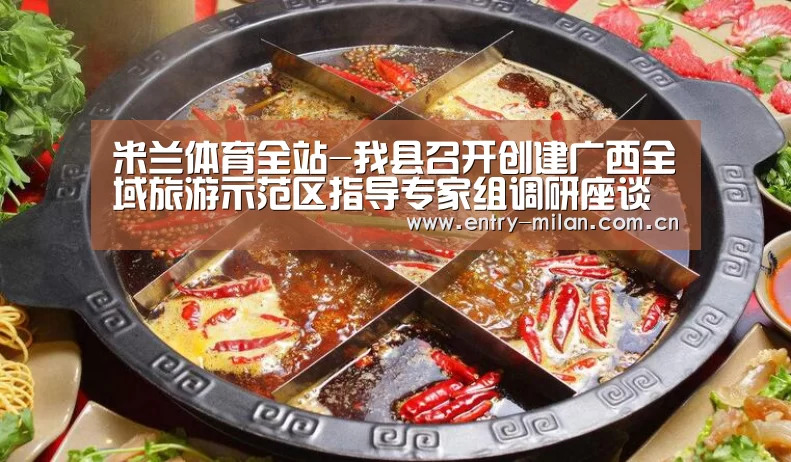 MILANSPORT下载