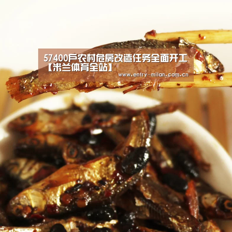 米兰体育全站