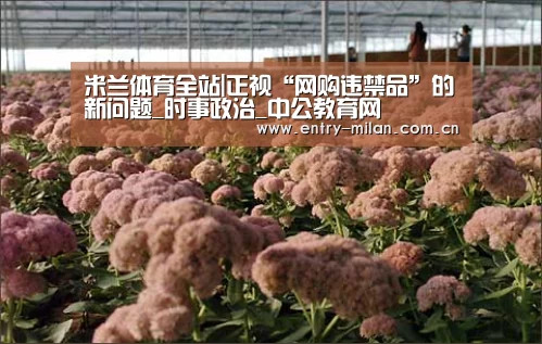 米兰体育全站
